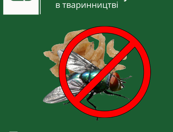 Концентрат М