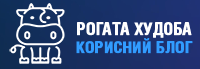Читайте корисні статті на спеціалізованих корисних блогах: