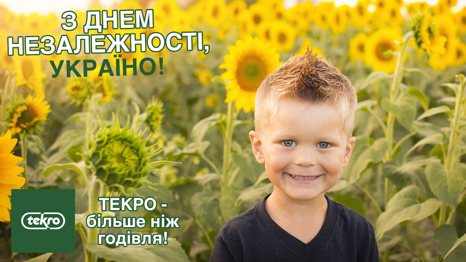 С Днем Незалежності, Україно!