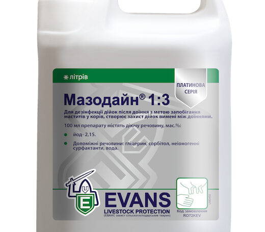 MASODINE