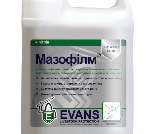 MASOFILM