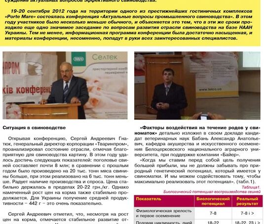 Встреча лидеров отрасли свиноводства