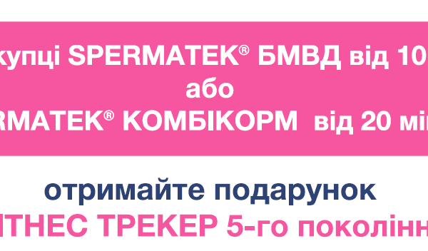 Скористайтеся SMART-моментом!