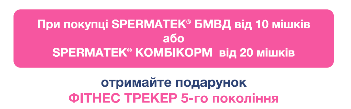 Скористайтеся SMART-моментом!