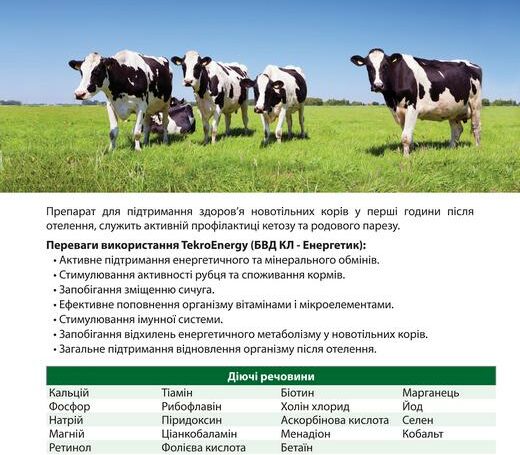 TekroEnergy