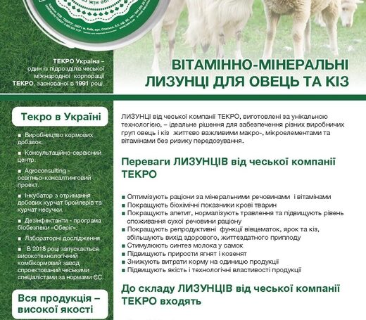 Лизунці