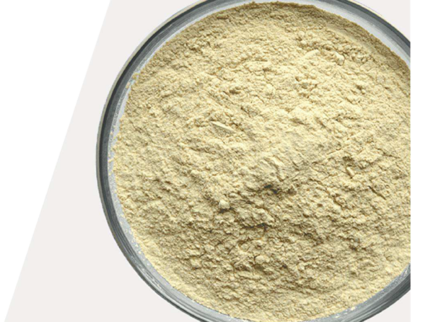 ENZACTIVE PROTEIN POWDER