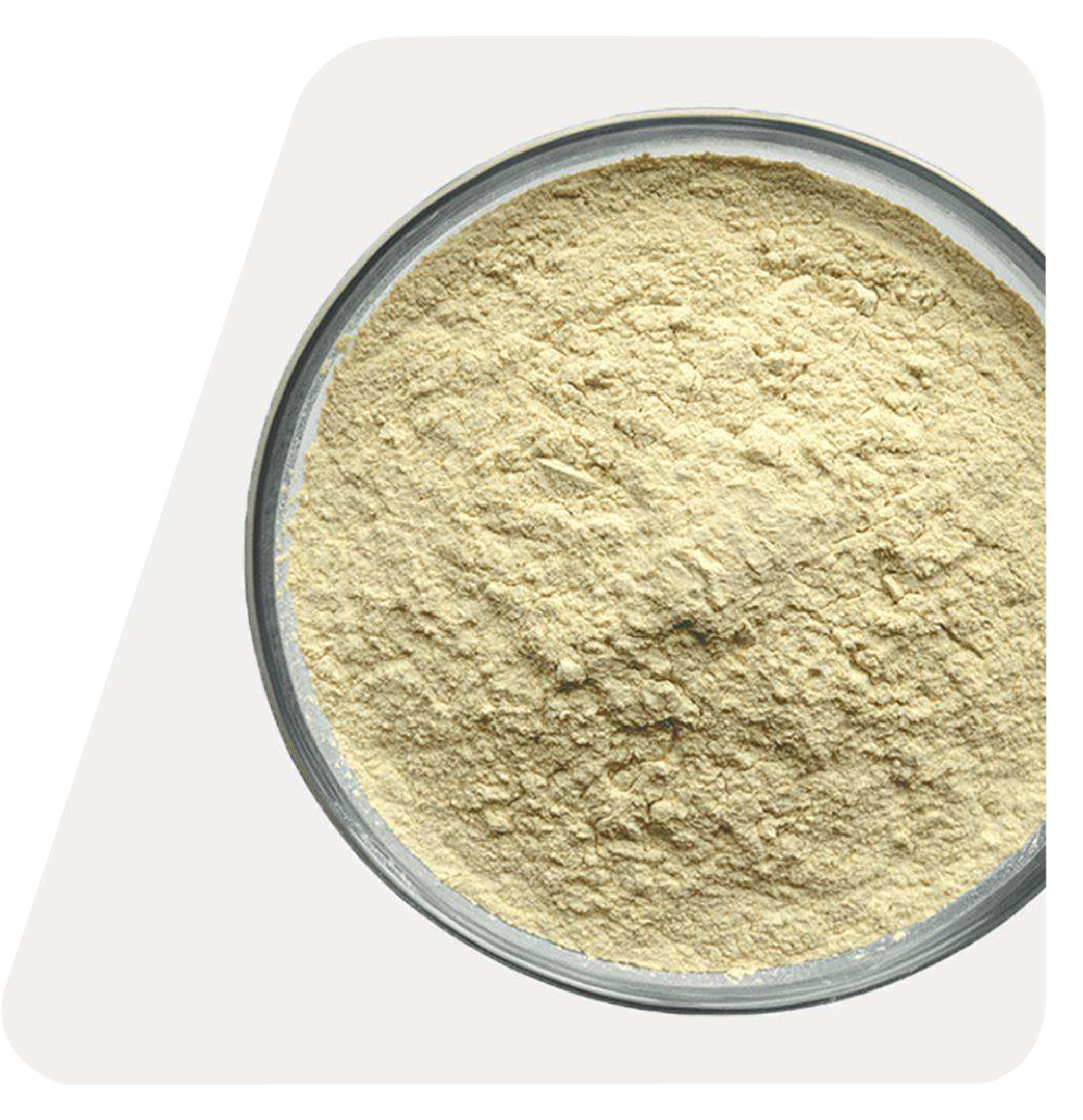 ENZACTIVE PROTEIN POWDER