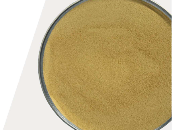 EXTRAYEAST
