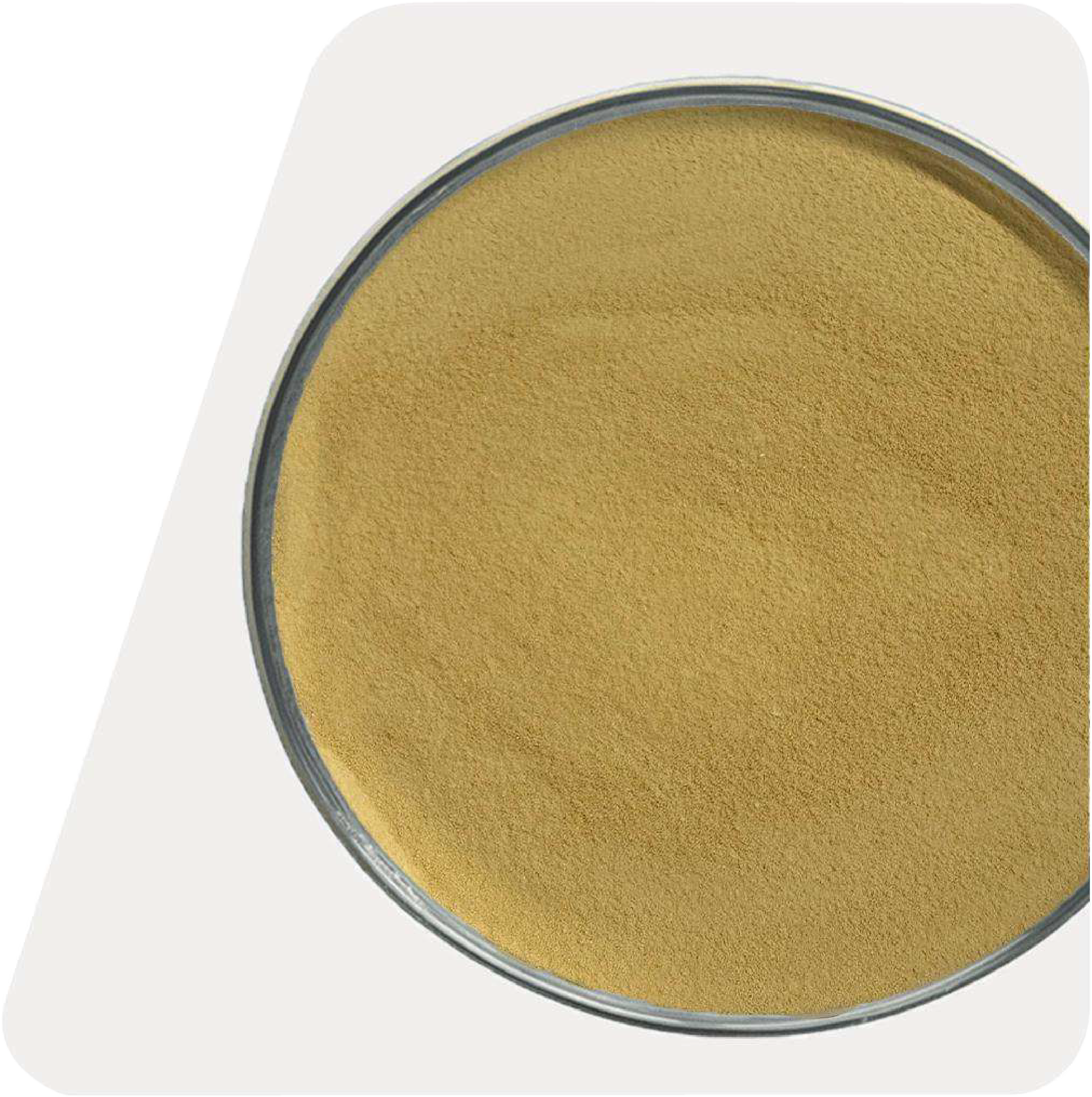 EXTRAYEAST