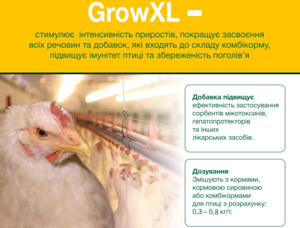 GrowXL