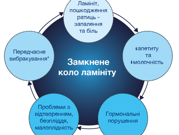 TEKROBONE